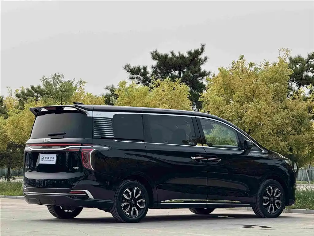 Hongqi Hongqi HQ9 — миниатюра 29