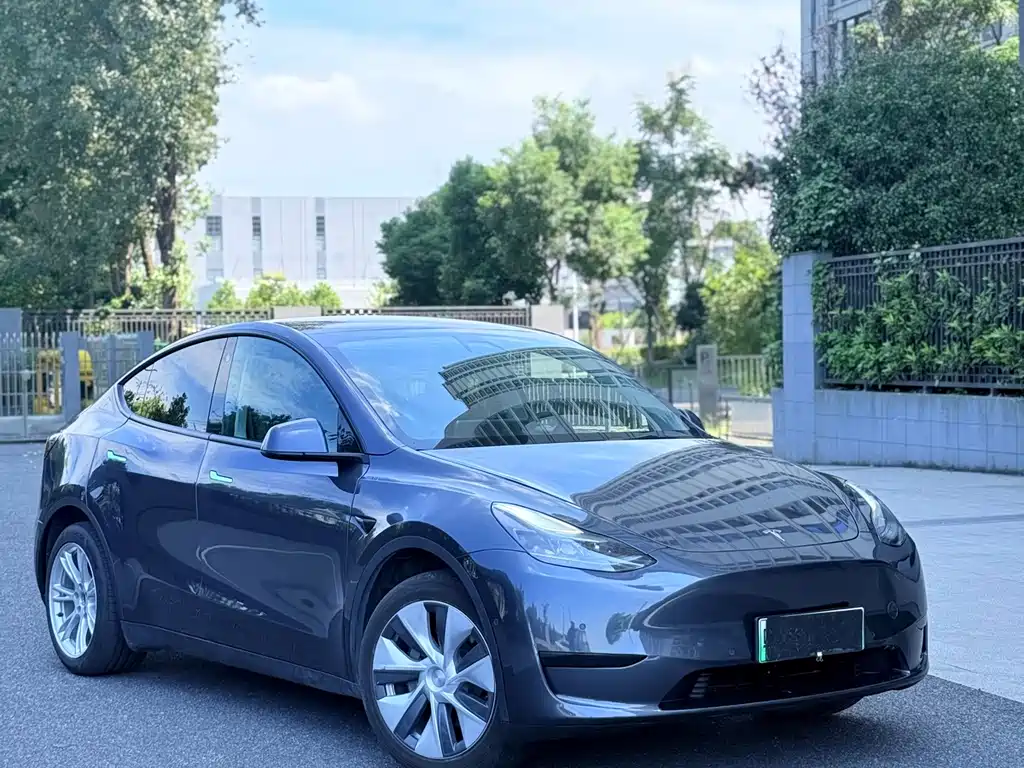 Tesla Model Y — миниатюра 2