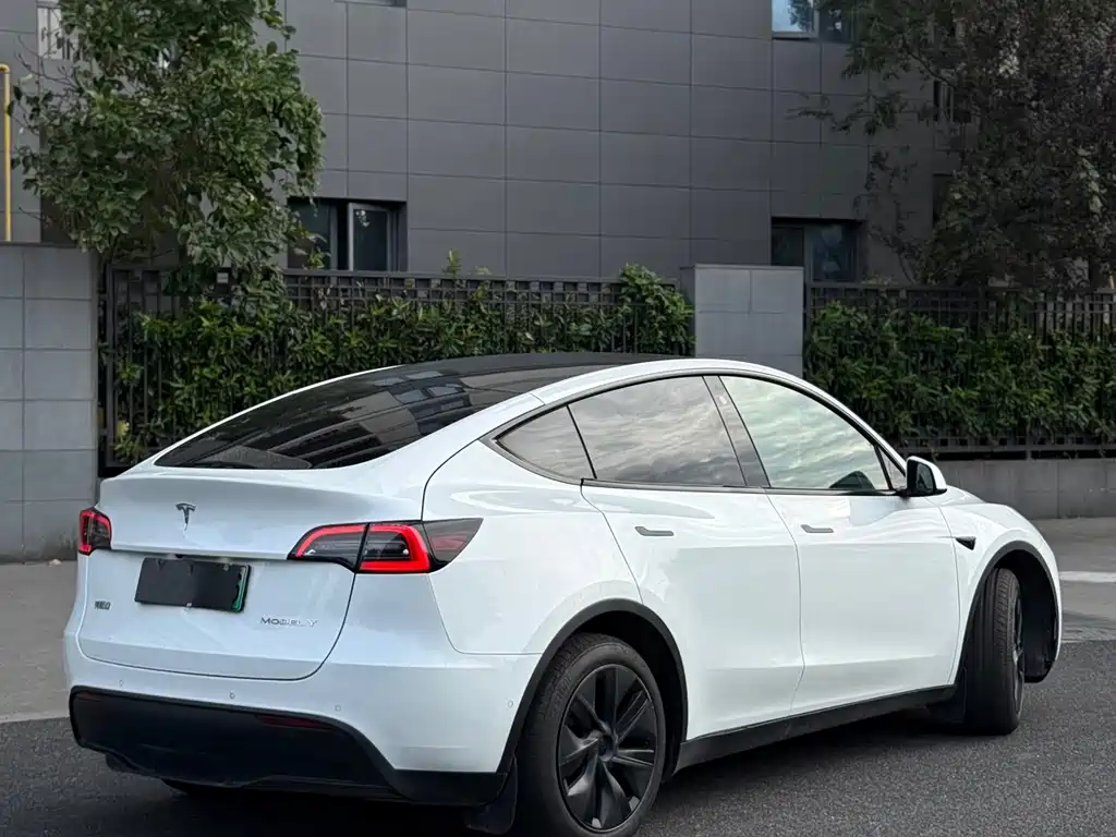 Tesla Model Y — миниатюра 4