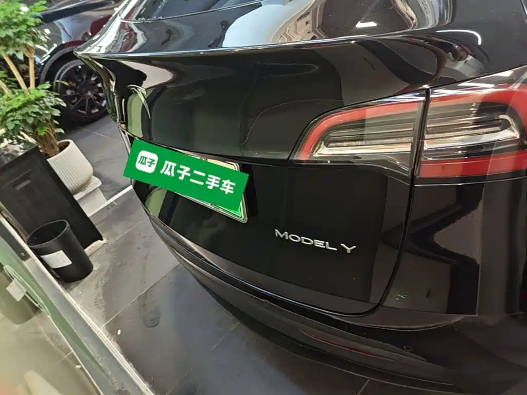Tesla Model Y — миниатюра 6