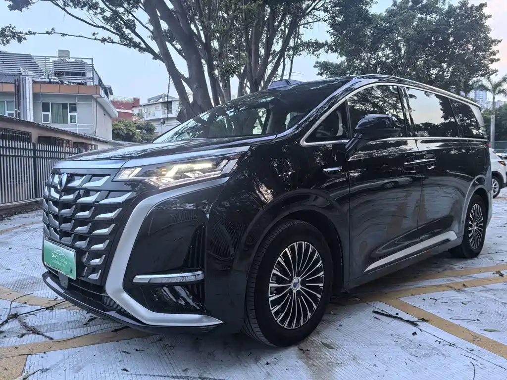 Denza D9