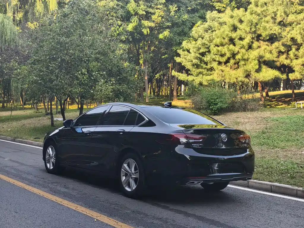 Buick Regal — миниатюра 8