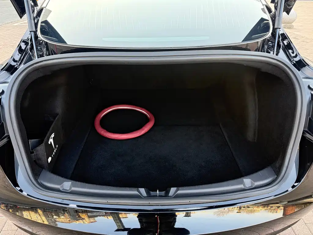 Tesla Model 3 — миниатюра 11
