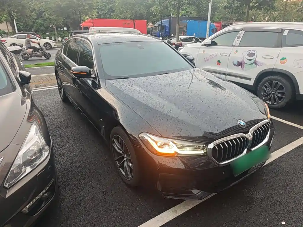 BMW 5 Series — миниатюра 4