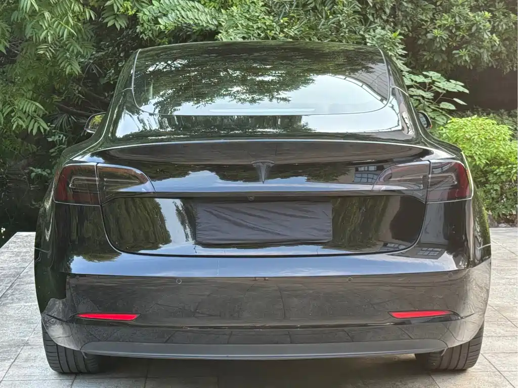 Tesla Model 3 — миниатюра 6