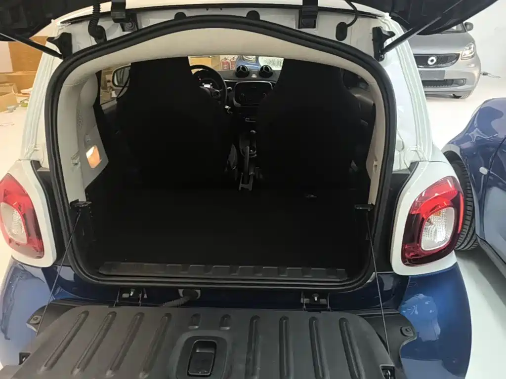smart Smart Fortwo — миниатюра 19