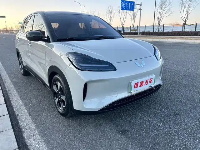 WULING WULING BINGGUO PLUS 2025