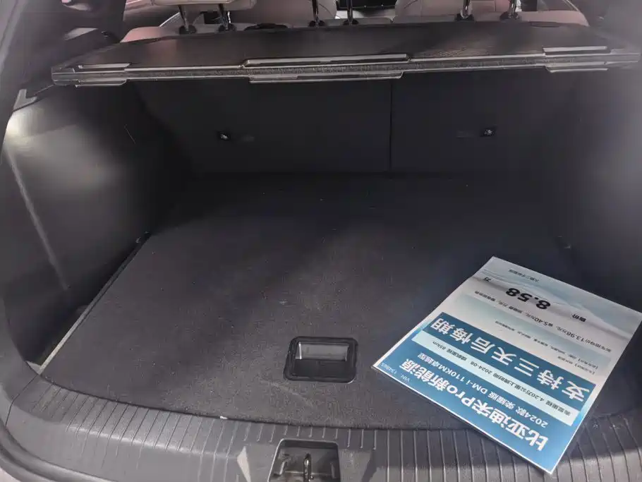 BYD Pro New Energy — миниатюра 4