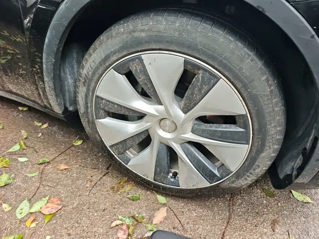 Tesla Model Y — миниатюра 8