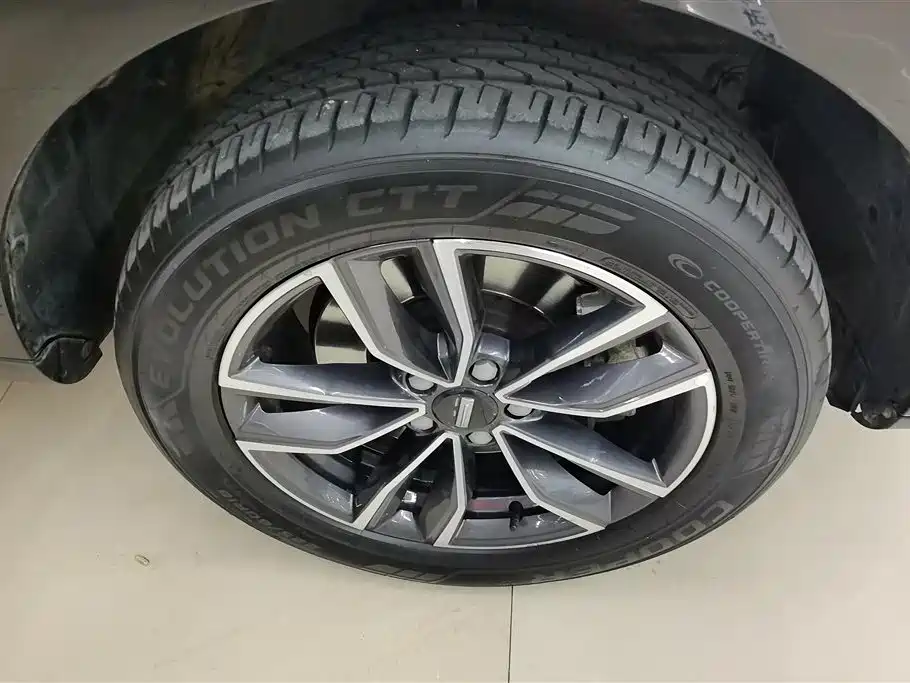 WEI PAI WEI BRAND VV5