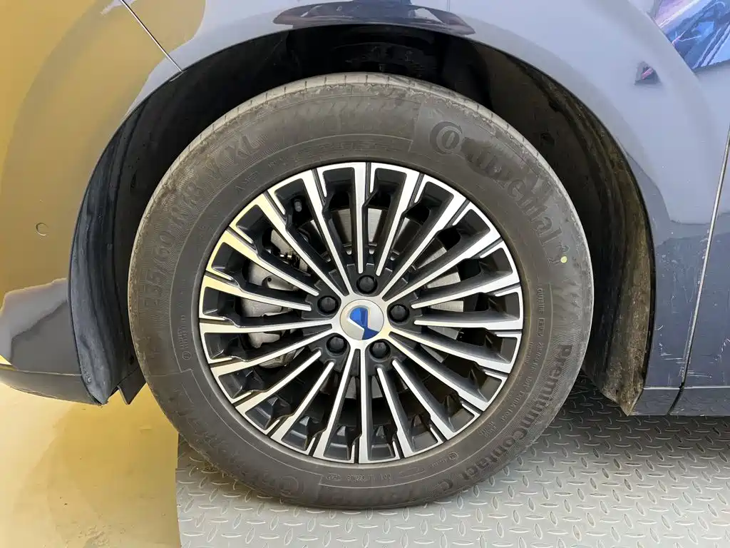 Denza Denza D9 — миниатюра 10