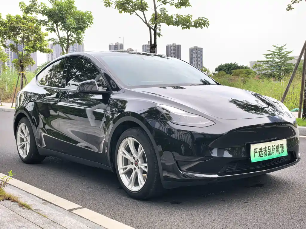 Tesla Model Y — миниатюра 3