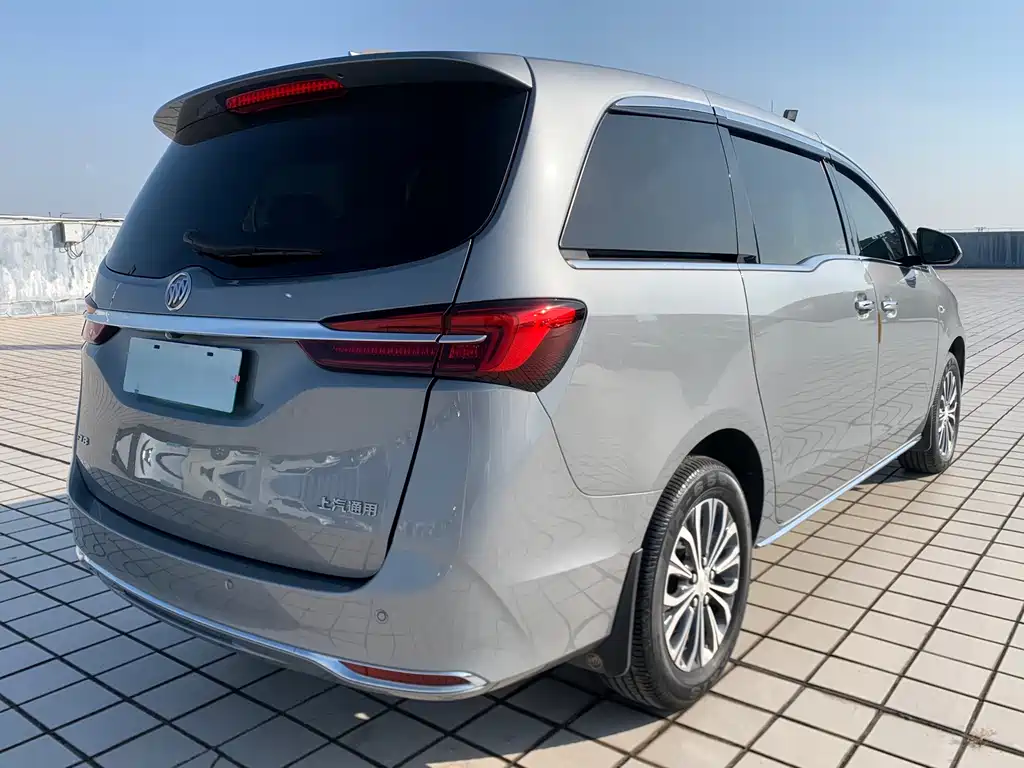 Buick GL8 — миниатюра 6