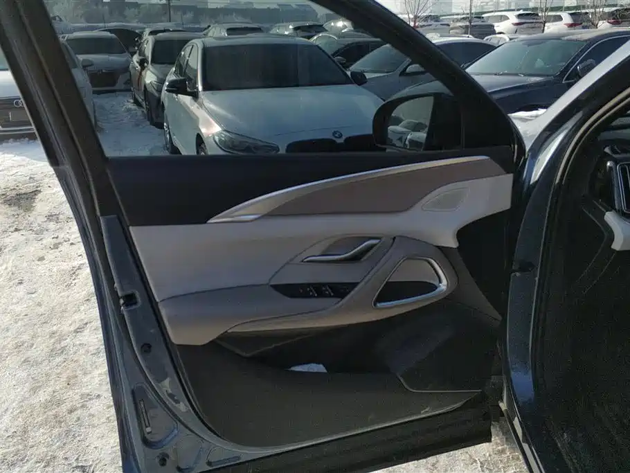 BYD SONGJIANG NEW ENERGY