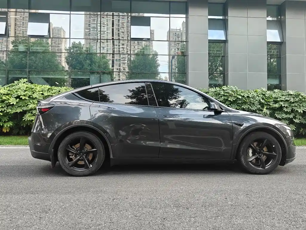 Tesla Model Y — миниатюра 6