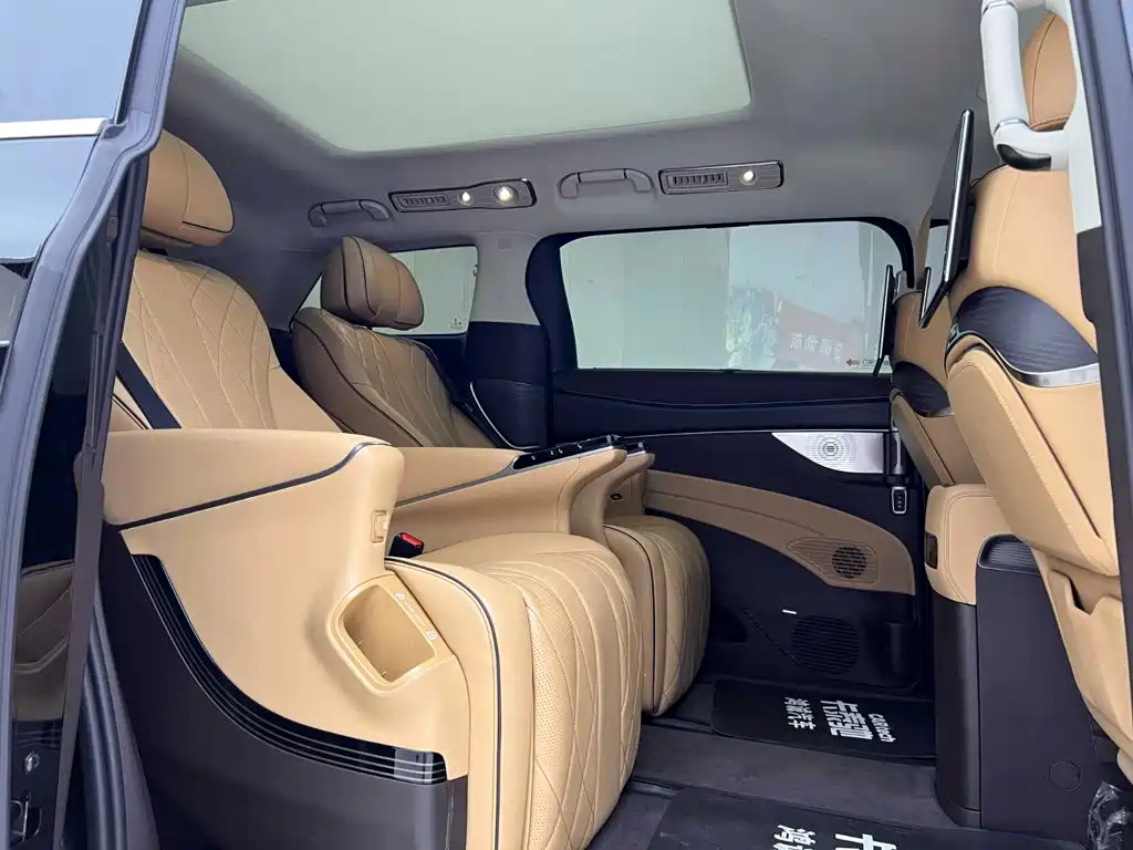Denza Denza D9 — миниатюра 20