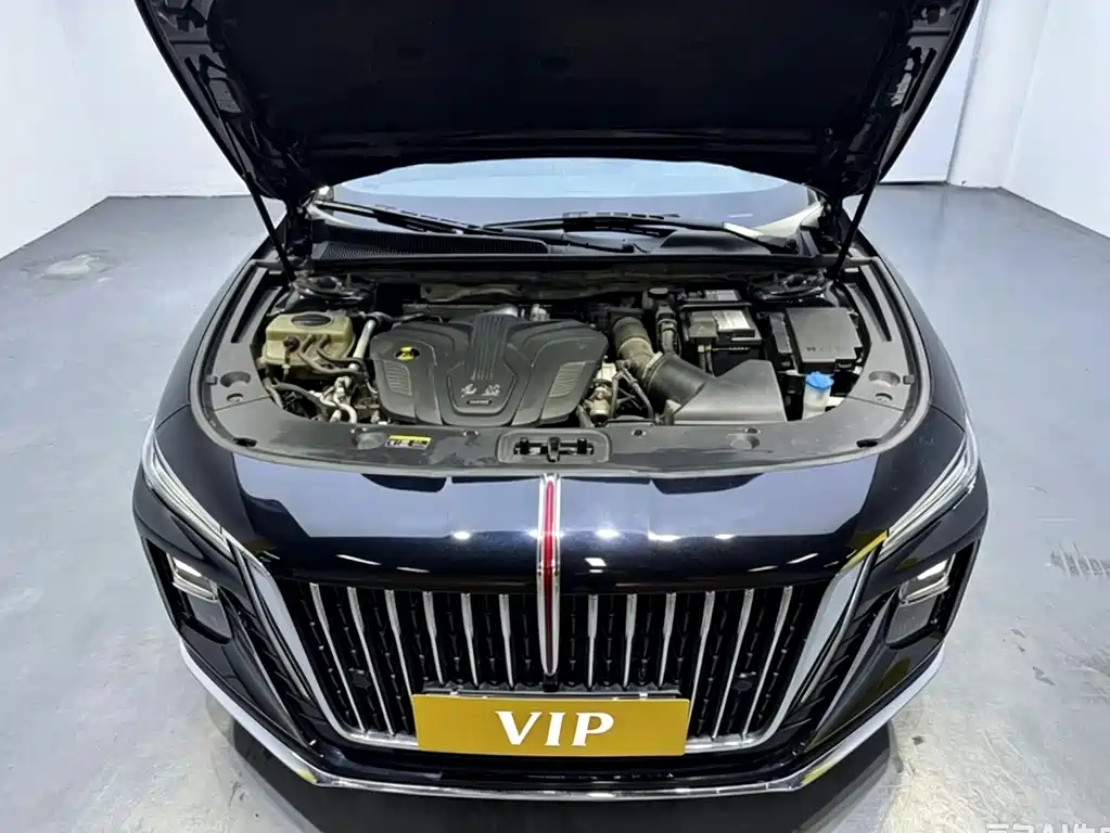 Hongqi Hongqi H5 — миниатюра 7