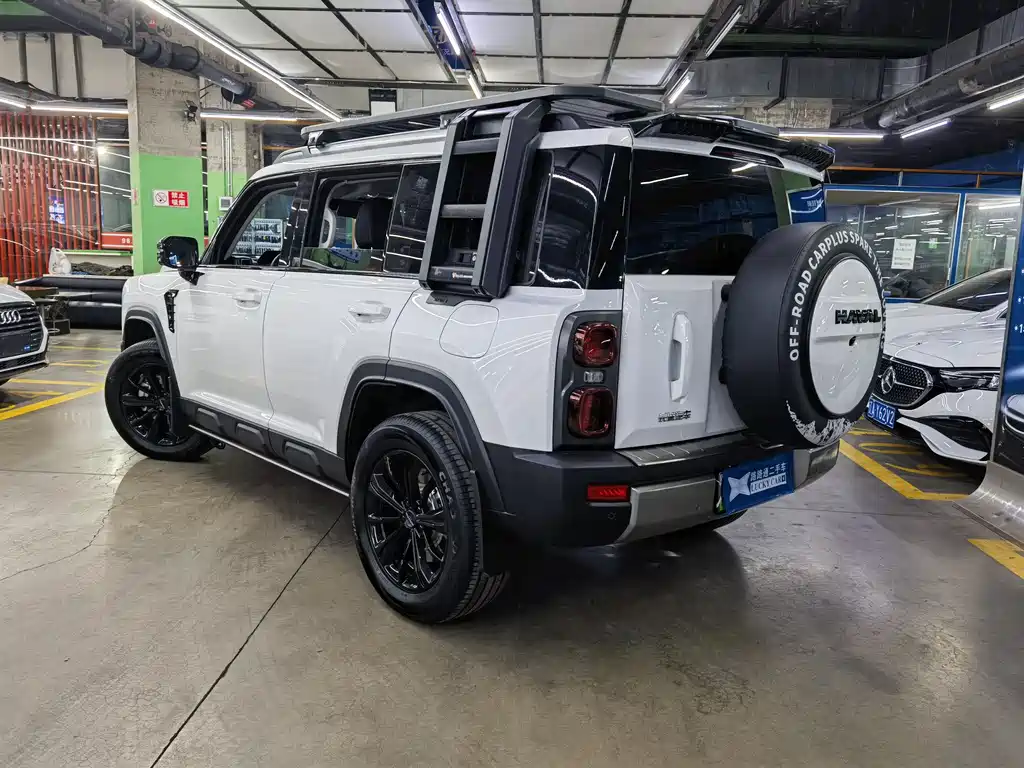 HAVAL RAPTORS NEW ENERGY