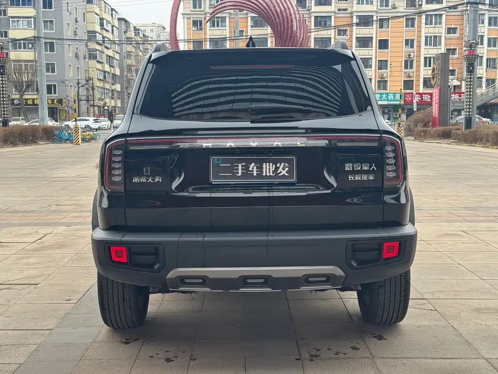HAVAL BIG DOG
