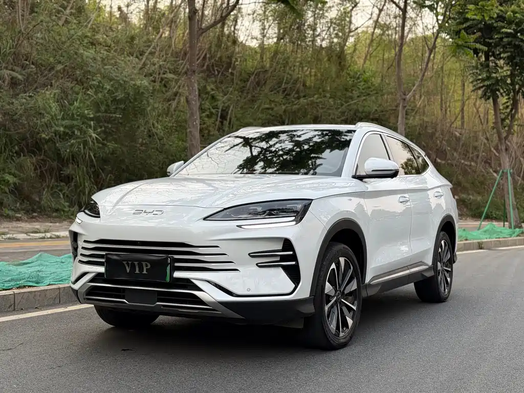 Byd PLUS New Energy 2024
