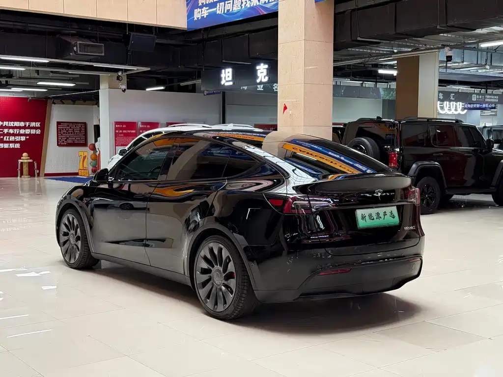 Tesla Model Y — миниатюра 4