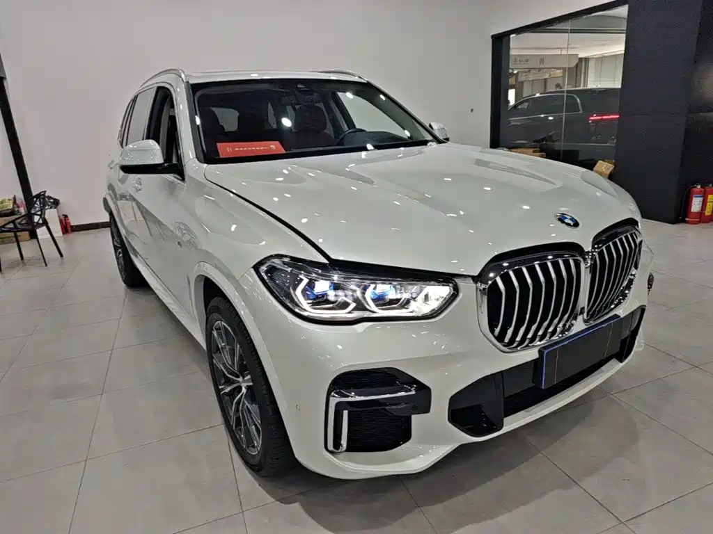 BMW X5 2022 xDrive 30Li Premium M Sport