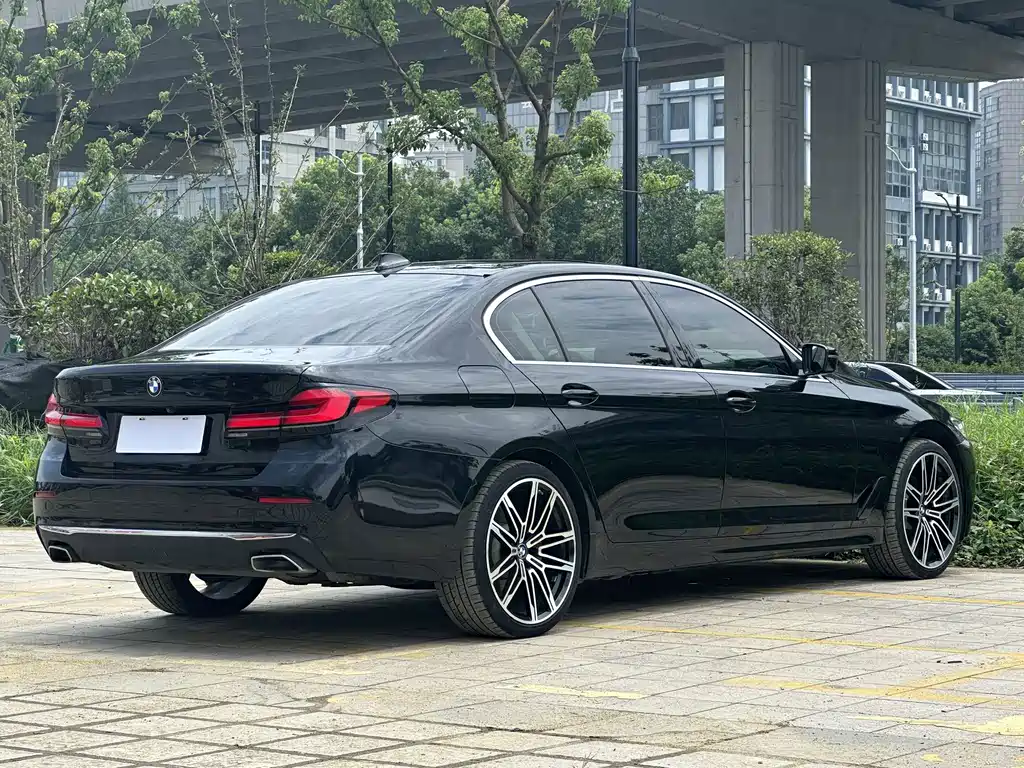 BMW 5 Series New Energy 535Le Luxury Package, фото 4