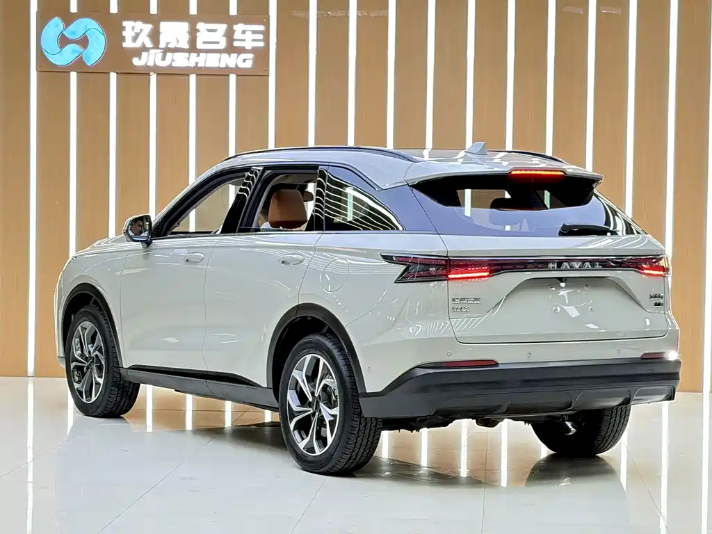 Haval Xiaolong MAX — миниатюра 23