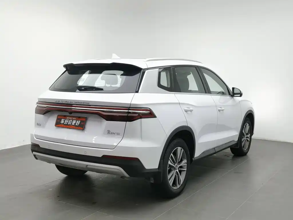 BYD Pro — миниатюра 2