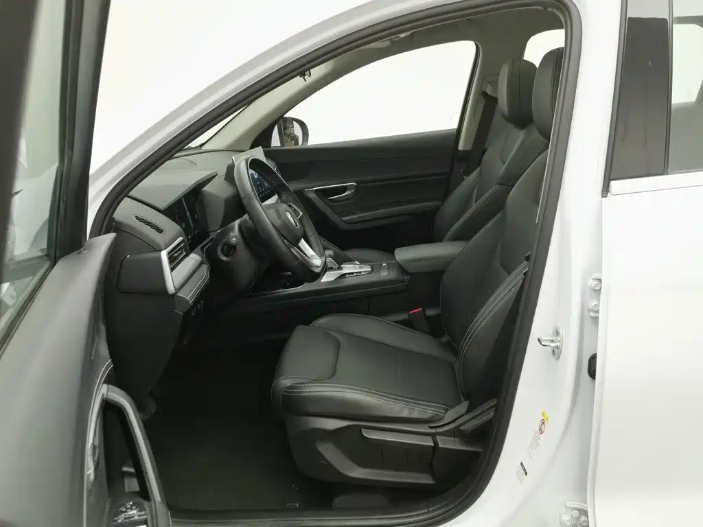 BYD Pro — миниатюра 10