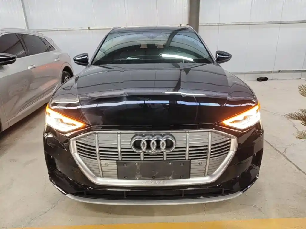 Audi e-tron (Import) — миниатюра 3