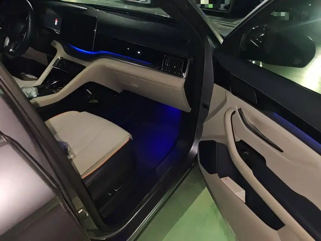 BYD PLUS New Energy — миниатюра 20