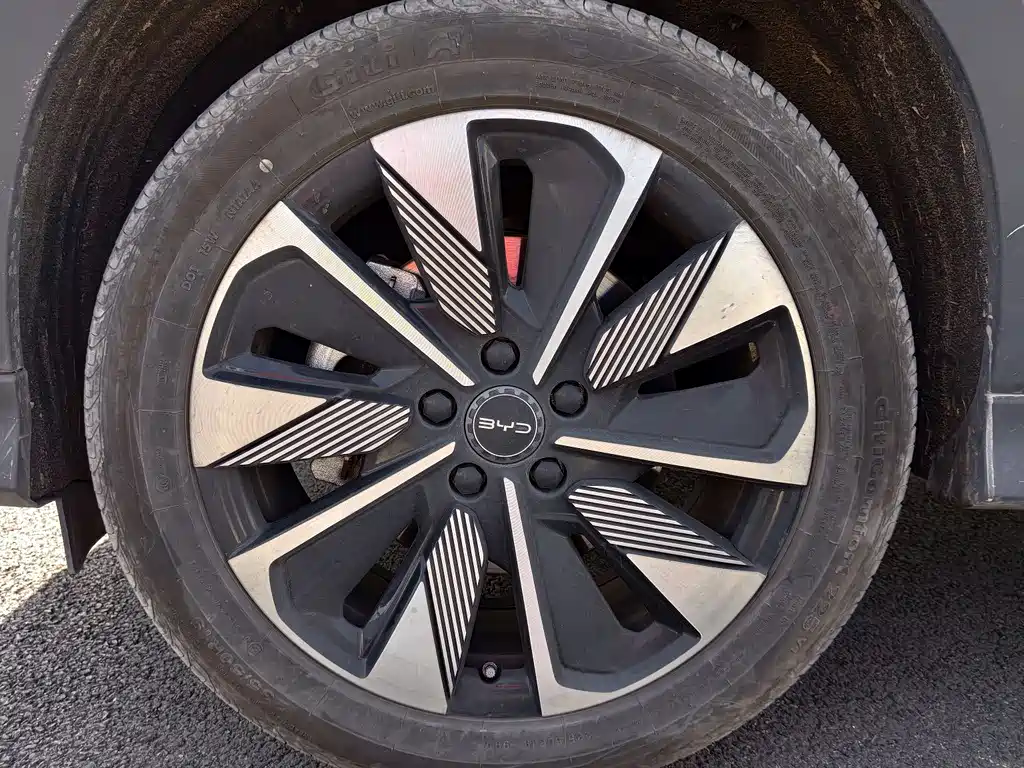 BYD SONGJIANG NEW ENERGY