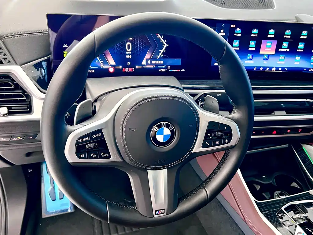 BMW X6 — миниатюра 15