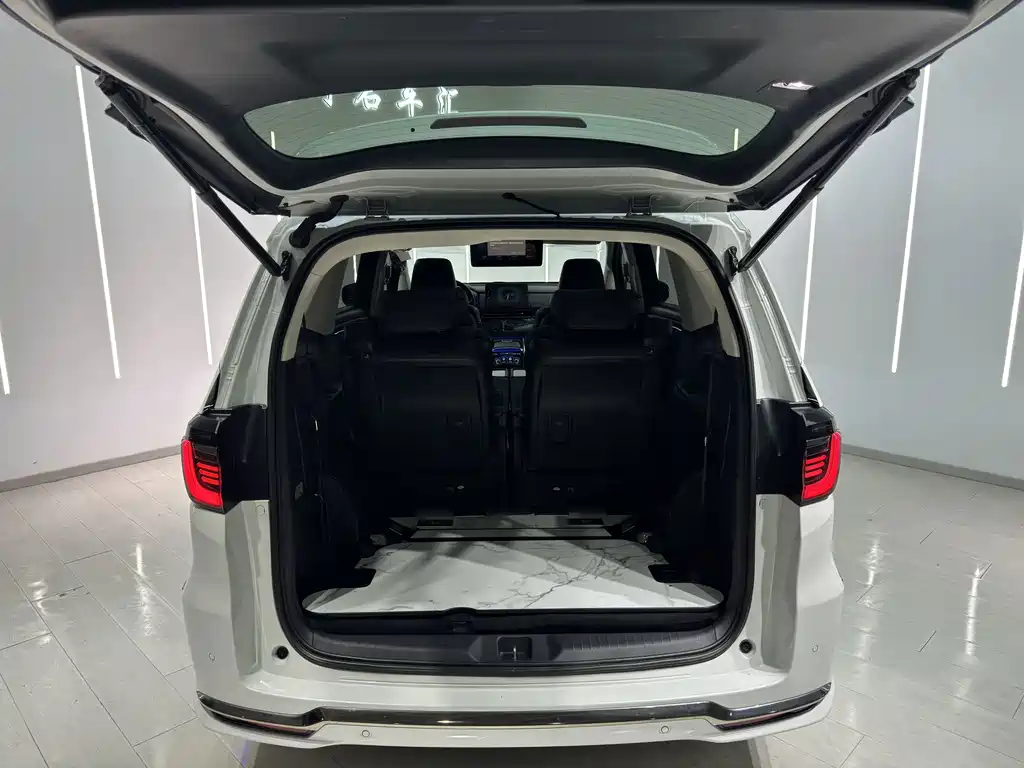 Honda Elysion — миниатюра 18