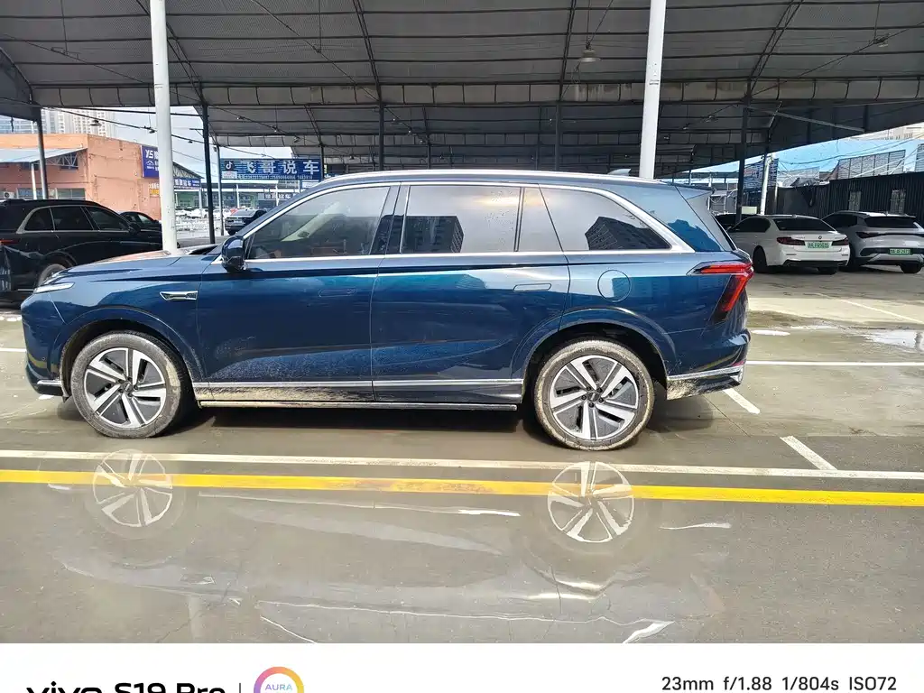 WEI PAI WEI BRAND BLUE MOUNTAIN