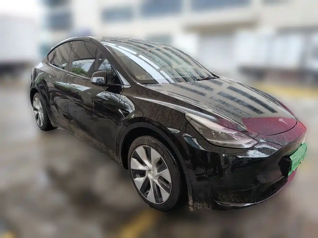 Tesla Model Y — миниатюра 3