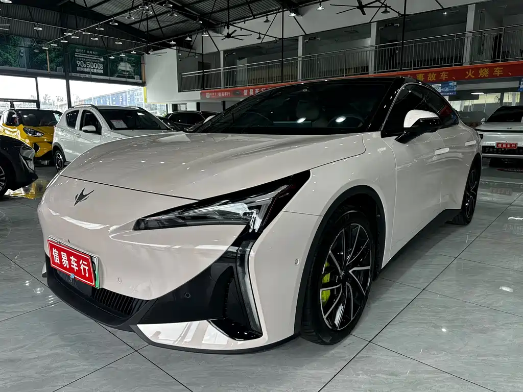 ARCFOX EXTREME FOX POLAR FOX ALPHA S5