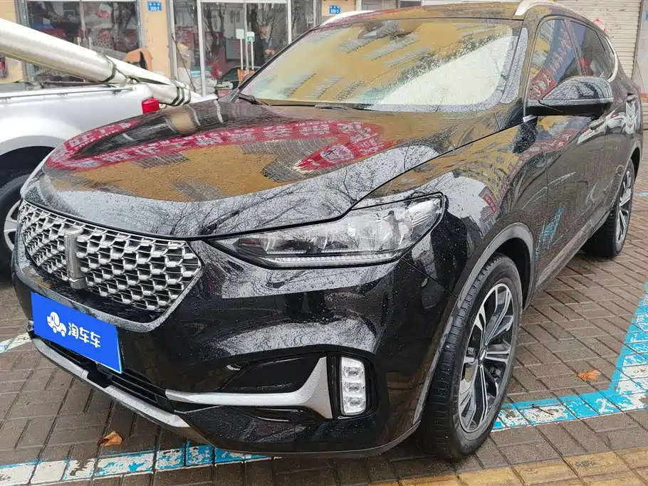 WEI PAI WEI BRAND VV6