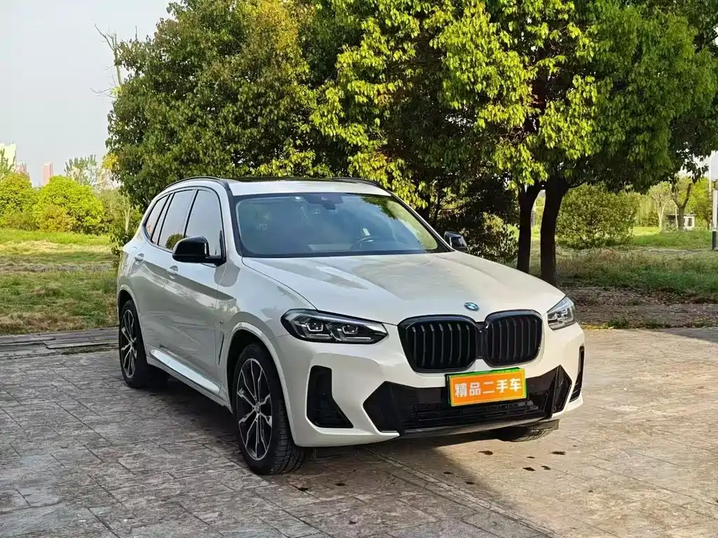 BMW X3 2022 xDrive30i Lead M