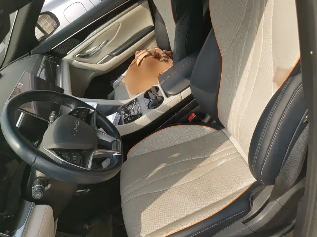 BYD PLUS New Energy — миниатюра 8