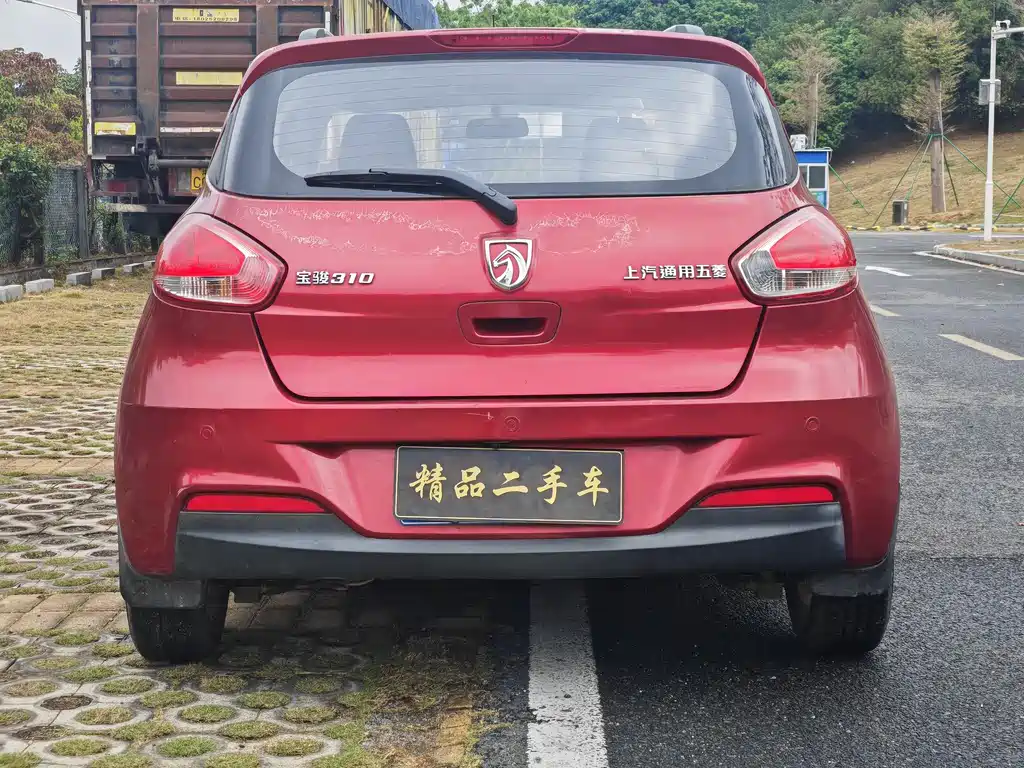 BAOJUN 310