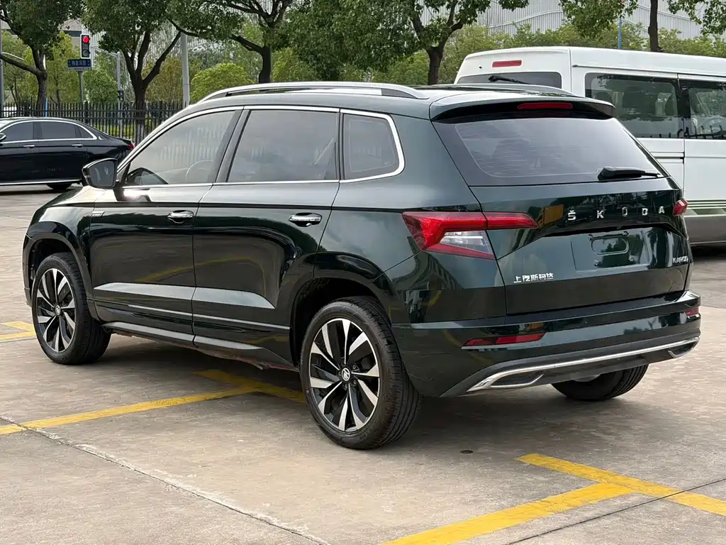 Skoda Karoq TSI280 Luxury Enjoy Edition, фото 5