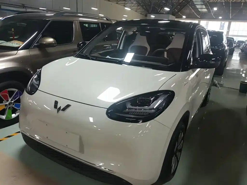 Wuling Bingo 2024