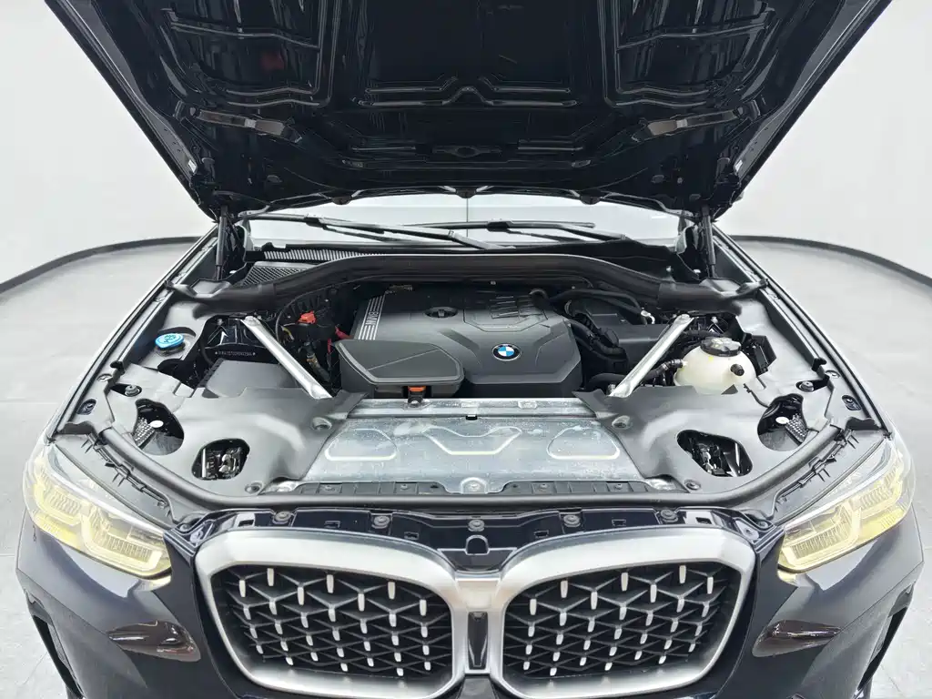 BMW X4 — миниатюра 40