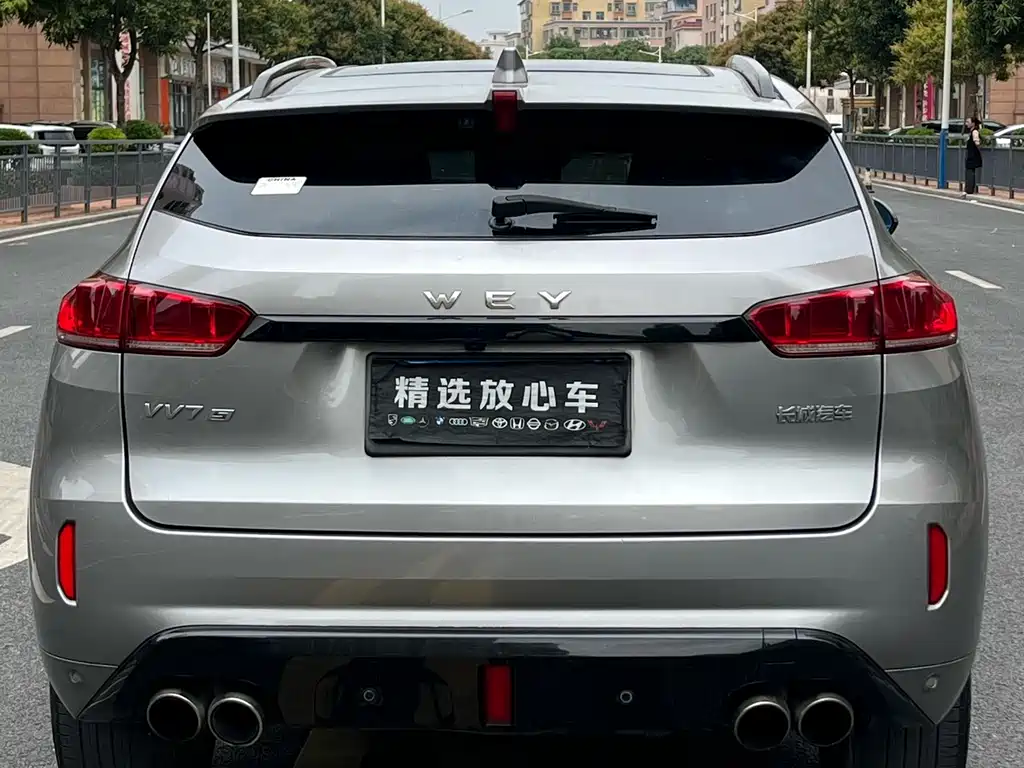 WEI PAI WEI BRAND VV7