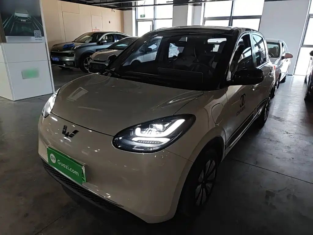 Wuling Binguo