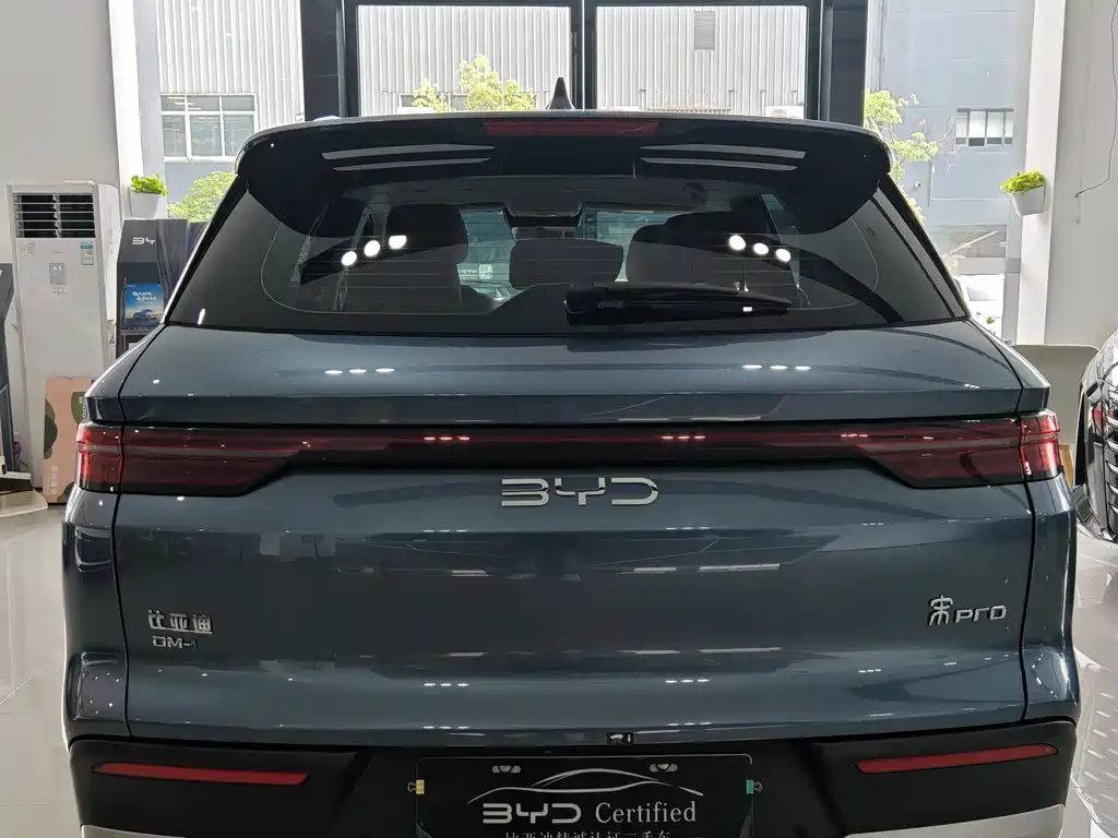 BYD Pro New Energy - фото 14