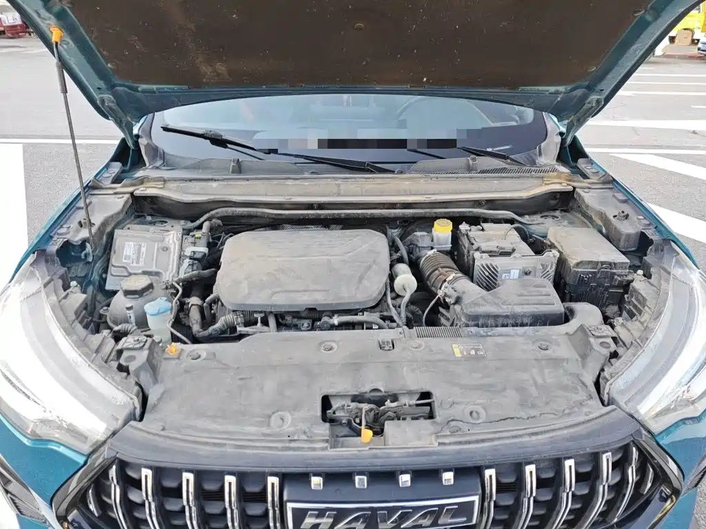 Haval Chitu — миниатюра 16