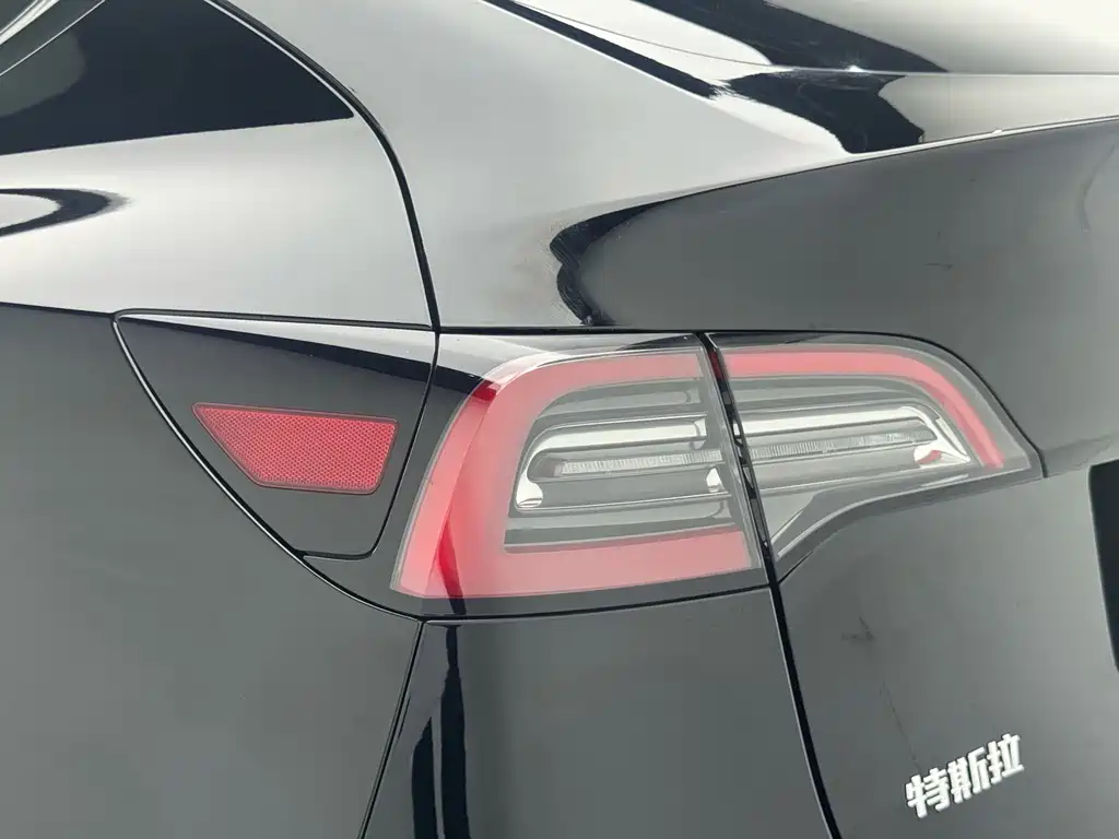 Tesla Model Y — миниатюра 5